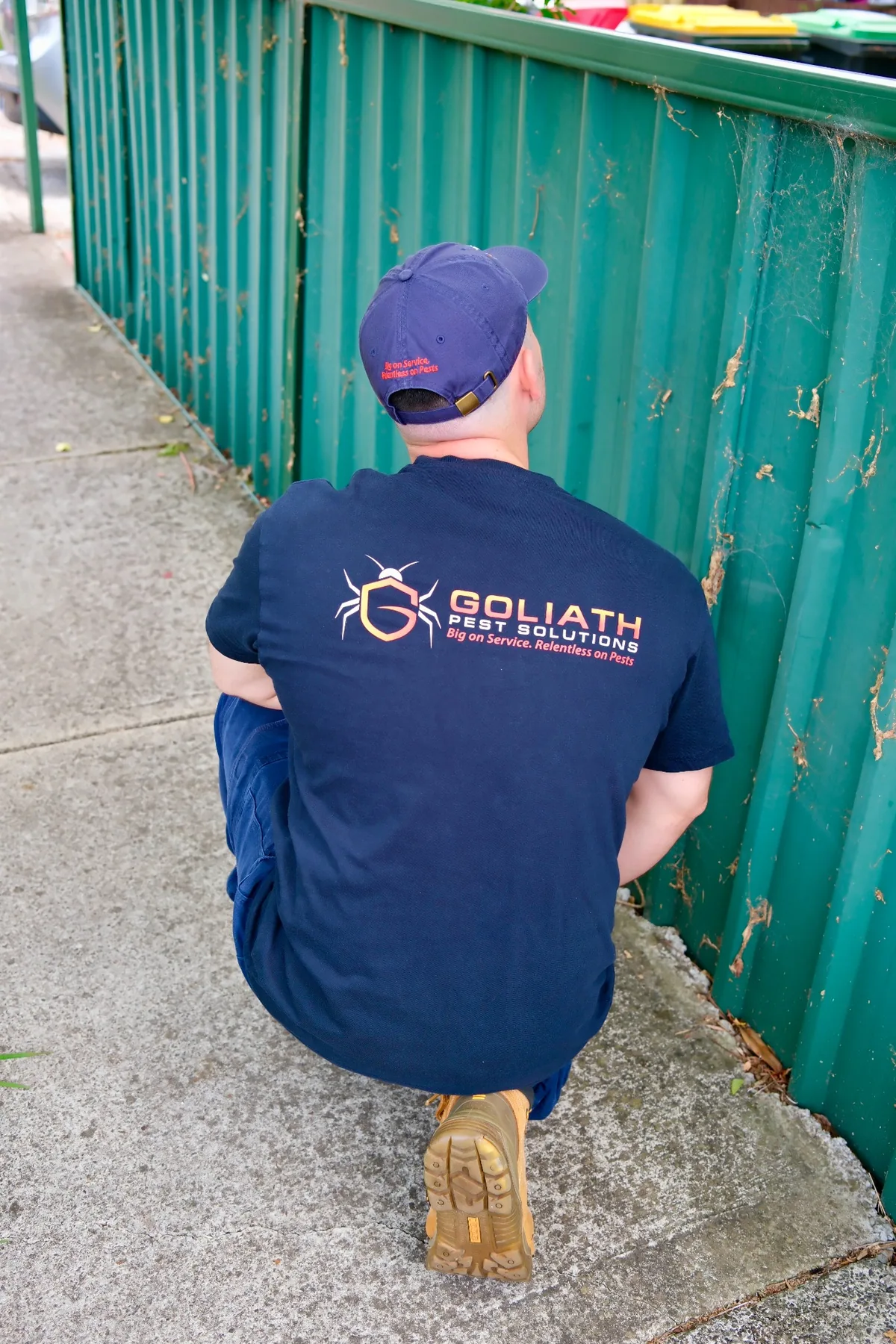 Goliath Pest Solutions general pest work